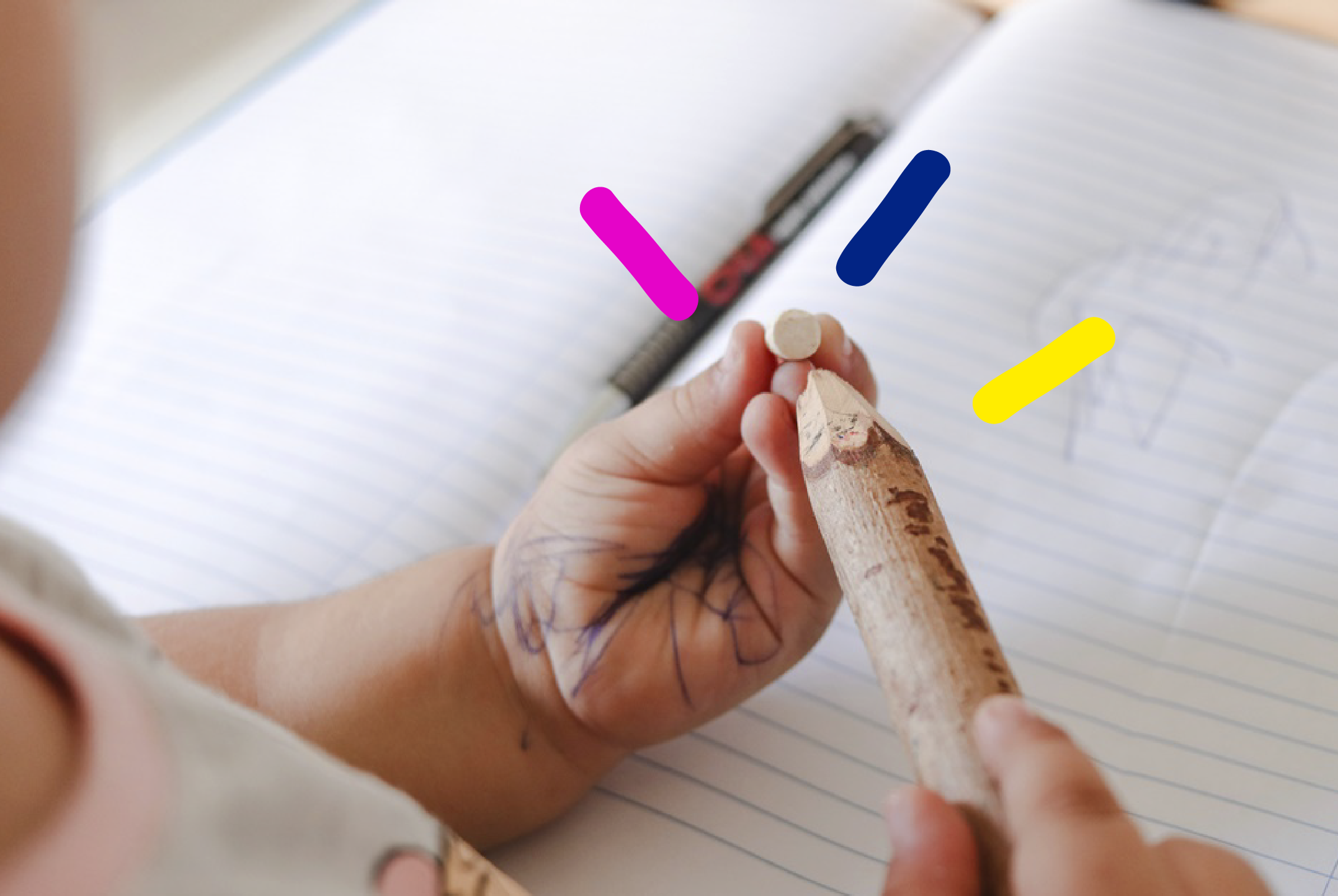 Curiosidades y aprendizaje en los niños