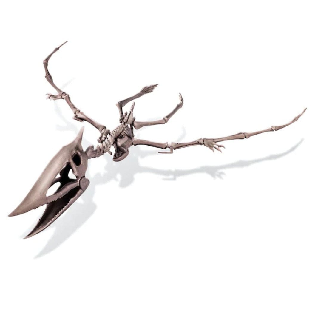 4M Juegos de Ciencia Dinosaurio Pteranodon EXCAVA 00-03459
