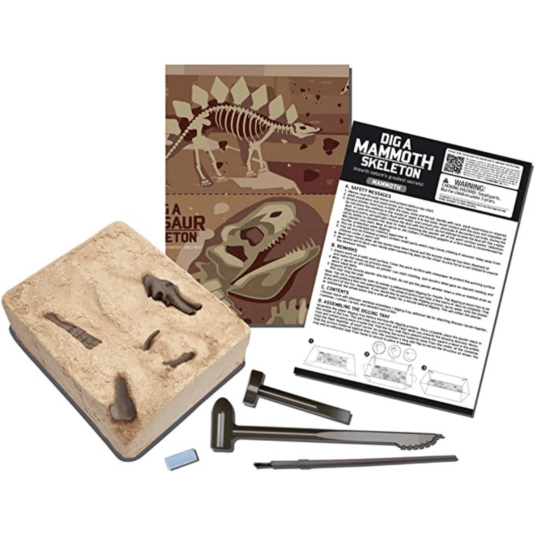 4M Juegos de Ciencia Mamut Excava 00-03236