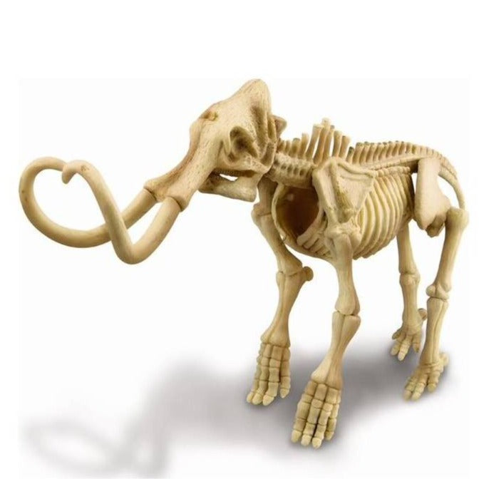 4M Juegos de Ciencia Mamut Excava 00-03236