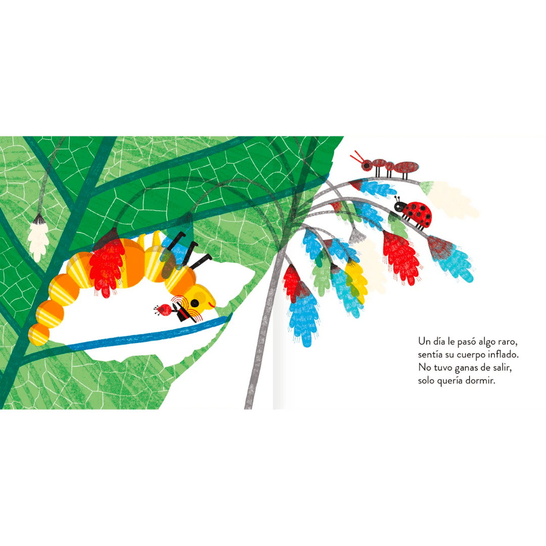 AMANUTA Libros Una Cuncuna Amarilla Para Niñas y Niños