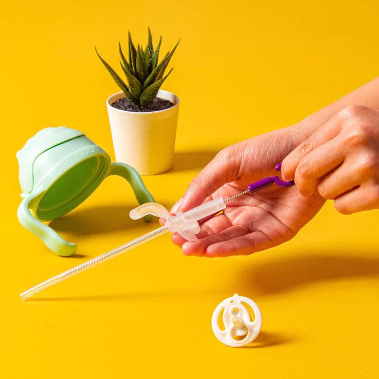 B.BOX Alimentación Repuesto Bombilla Vaso Sippy BBX525