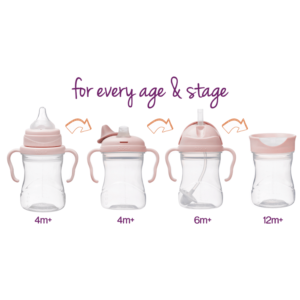 B.box Alimentación Set Vaso de transición Blush  - B.box BBX200811