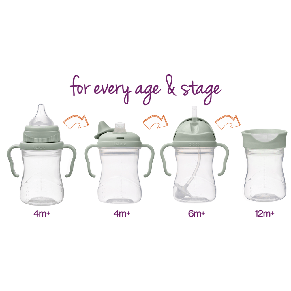 B.box Alimentación Set Vaso de transición Sage  - B.box BBX200810