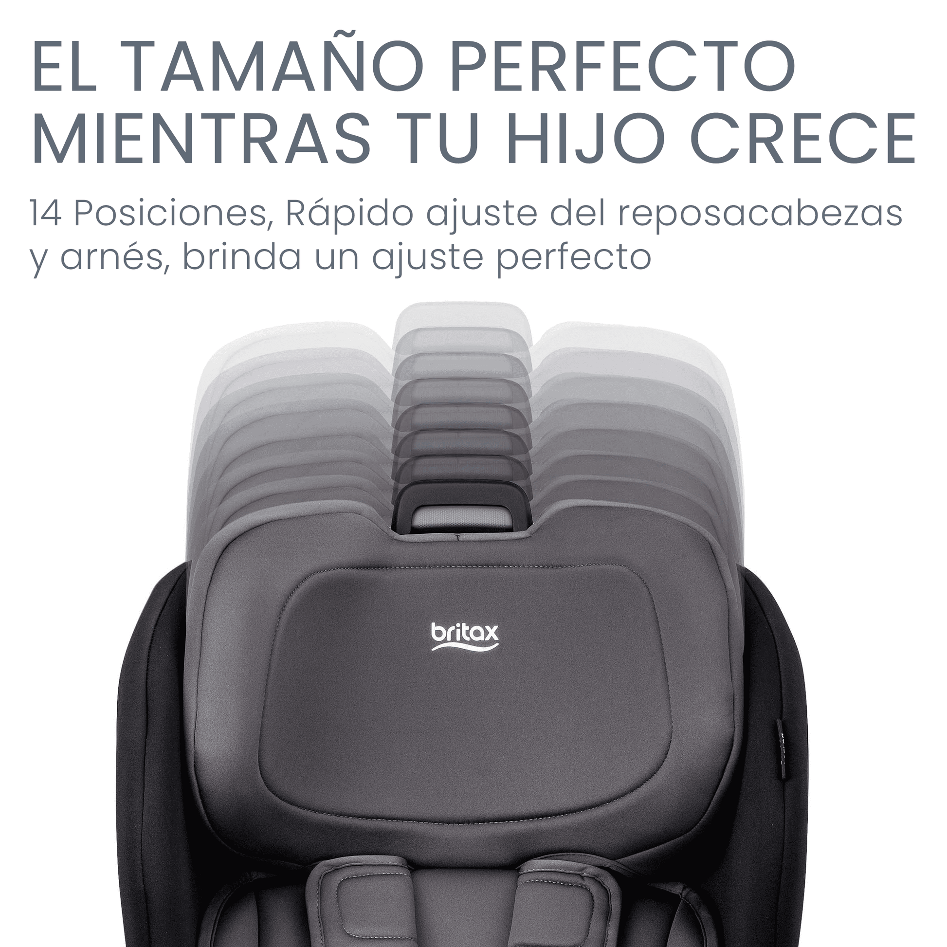 Britax Silla de auto convertible Silla De Auto Convertible Poplar Stone Onyx - Britax 016950LARSO