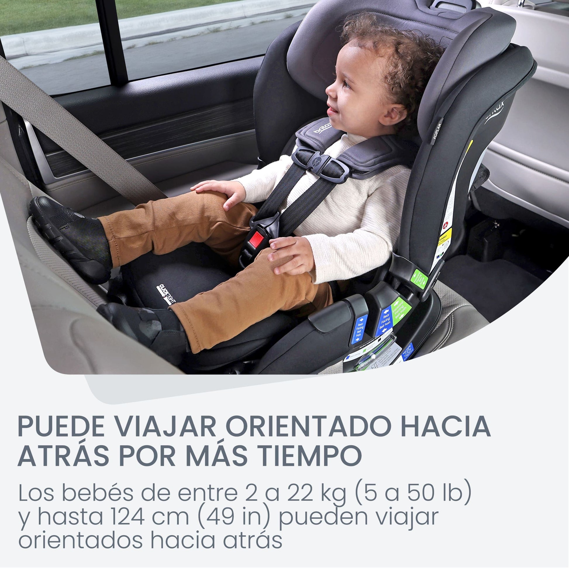 Britax Silla de auto convertible Silla De Auto Convertible Poplar Stone Onyx - Britax 016950LARSO