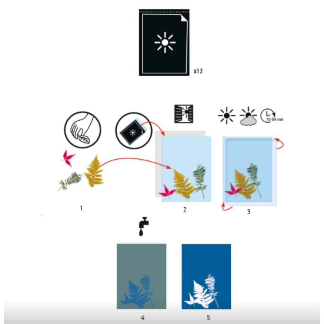 Design By Djeco Arte / Manualidades Cianotipo / Papel de repuesto x 12 u - Design by Djeco DJ09338