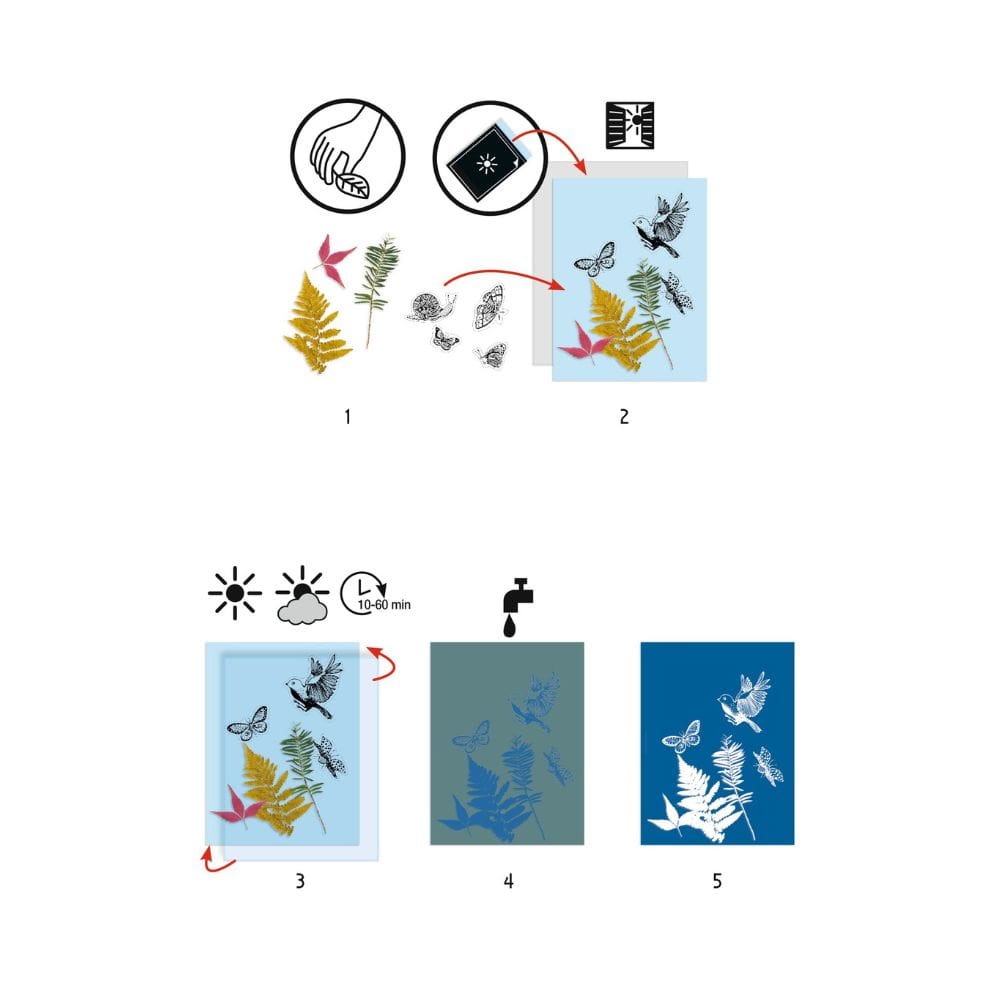 Design By Djeco Arte / Manualidades Kit de inicio para cianotipo - Design by Djeco DJ09339