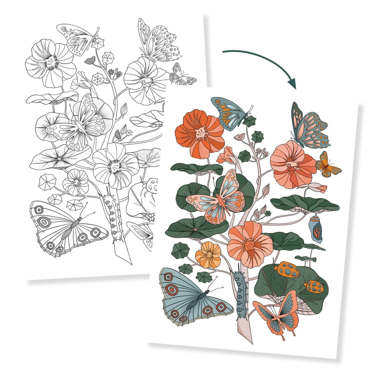 Design By Djeco Arte y Manualidades Dibujos para colorear naturaleza