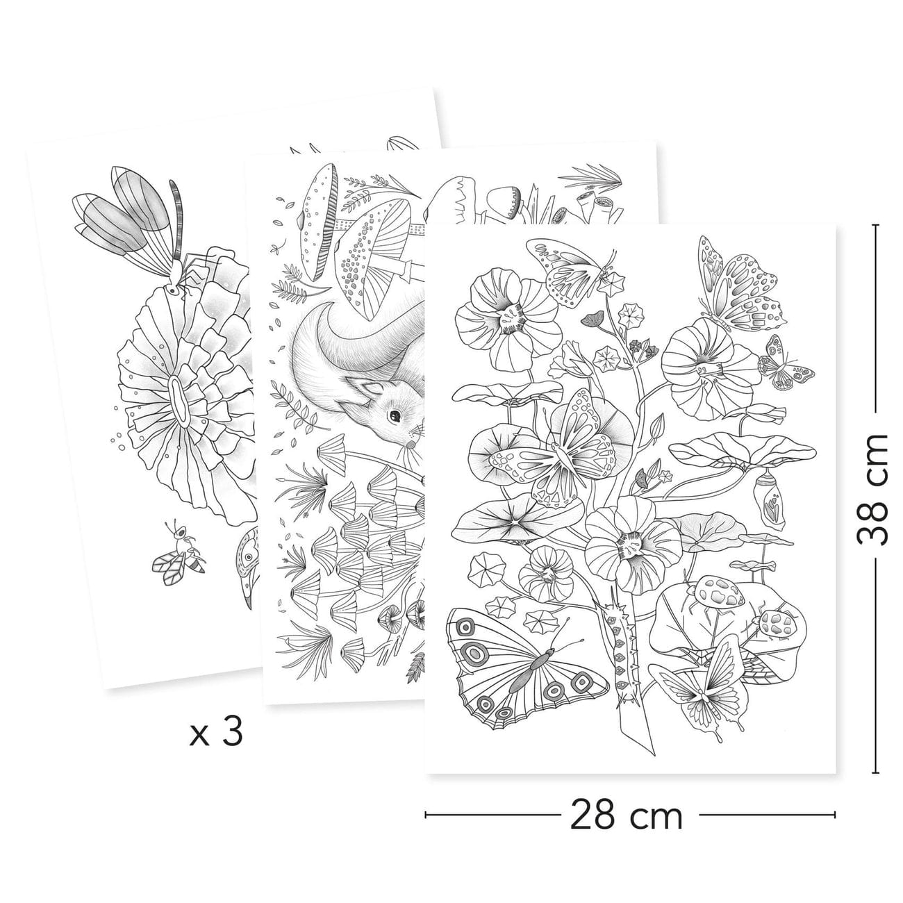 Design By Djeco Arte y Manualidades Dibujos para colorear naturaleza