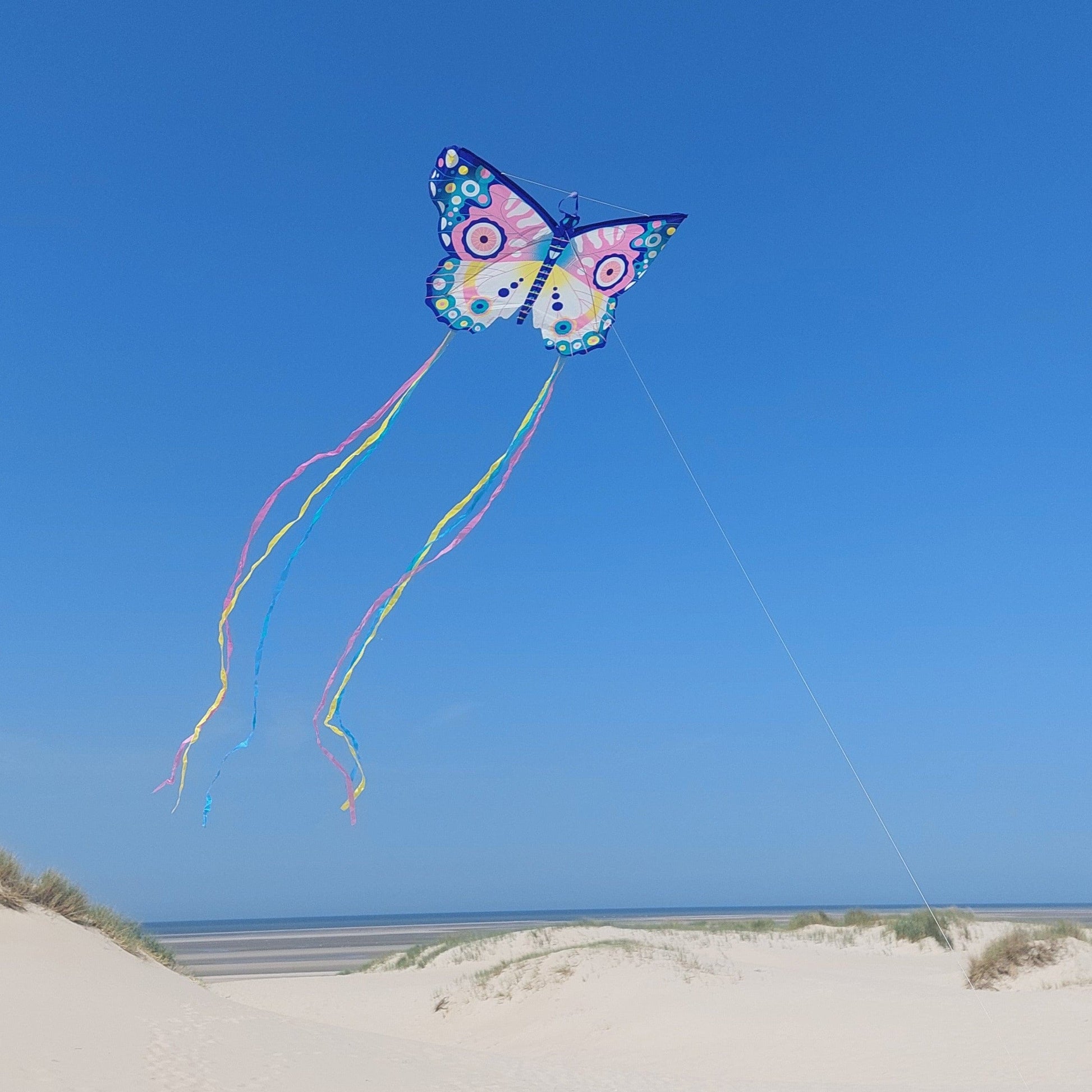 DJECO Juegos de Exterior Volantín Maxi Mariposa DJ02162