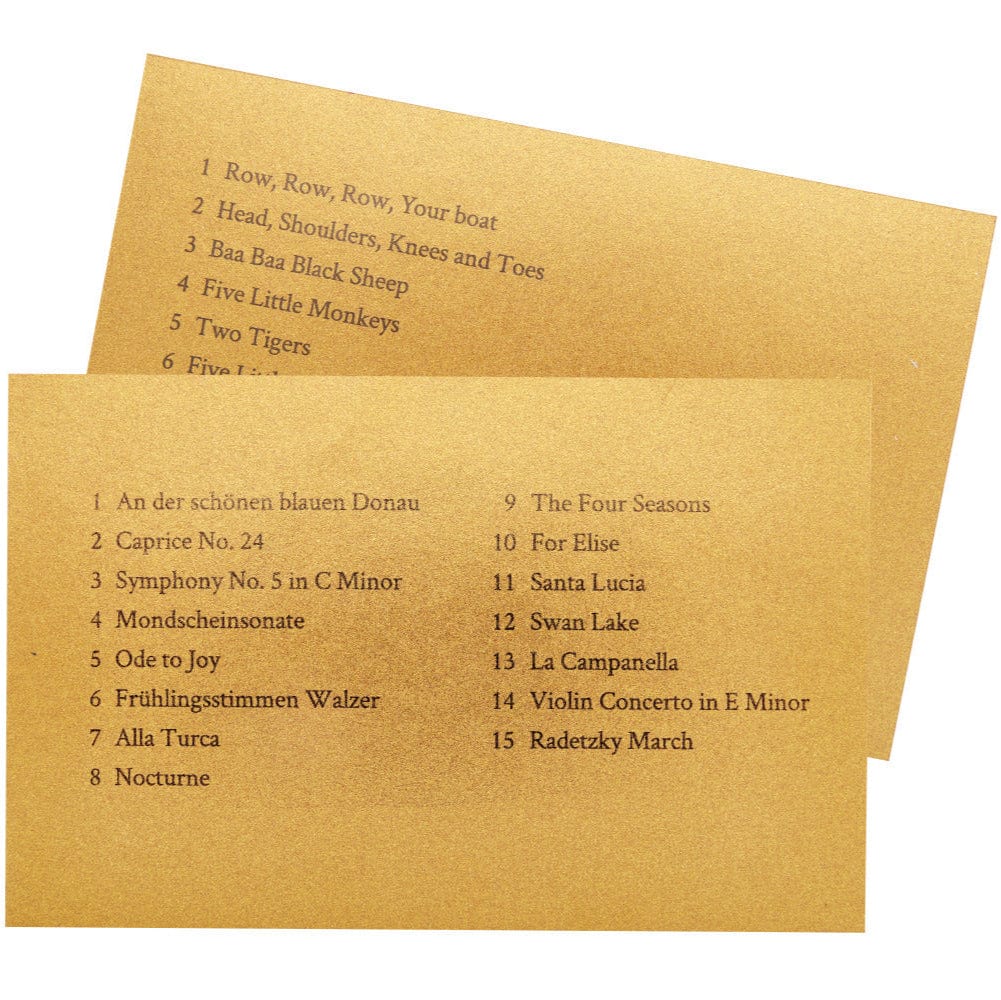 Hape Instrumentos musicales Fonógrafo Tune Time - Hape E0641