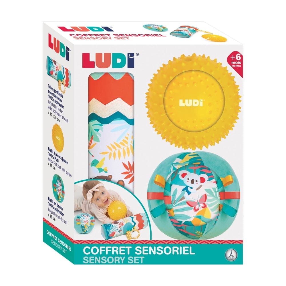 LUDI Destreza y Habilidades Cofre de tubo y pelotas sensoriales LU30076