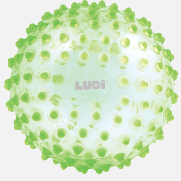 LUDI Pelota Pelota sensorial Verde LU2795VE