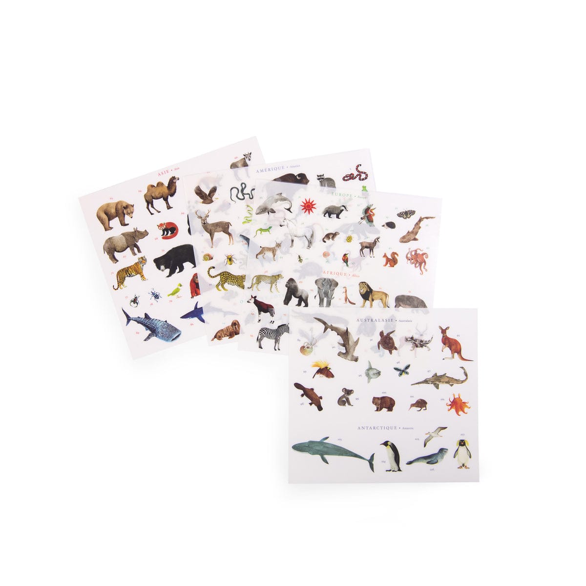 MOULIN ROTY Arte y Manualidades Mapamundi de Calcomanias Tout autour du monde 719185