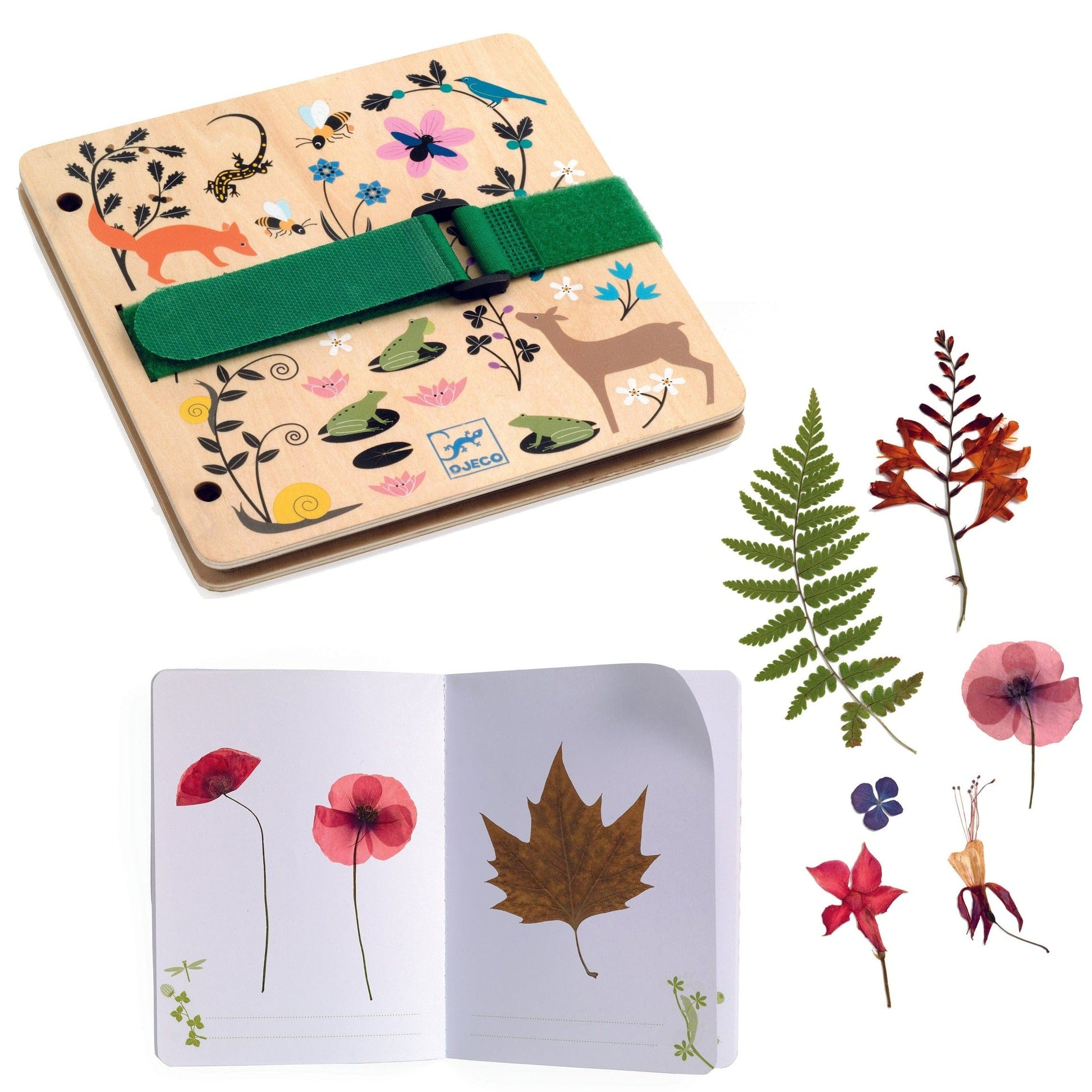 MOULIN ROTY Decoración Prensa de flores Botánica DJ07973