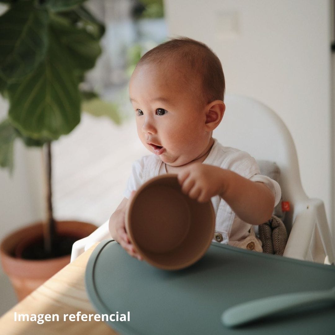 Mushie Alimentación Bowl de silicona con succión blush - Mushie MU2330019