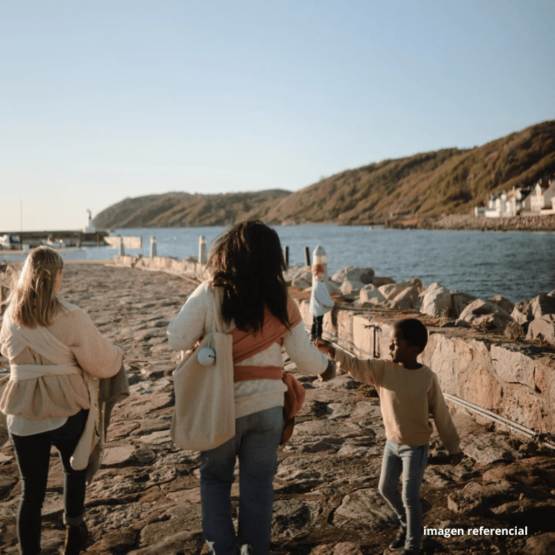 Mushie Portachupete Portachupete de silicona Powder blue- Mushie MU2255228