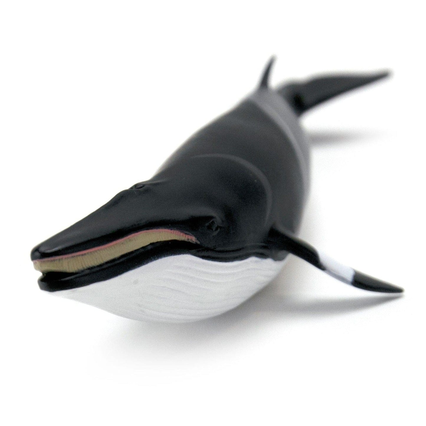 SAFARI Animales y Dinosaurios Coleccionables Ballena Minke Coleccionable SA100413