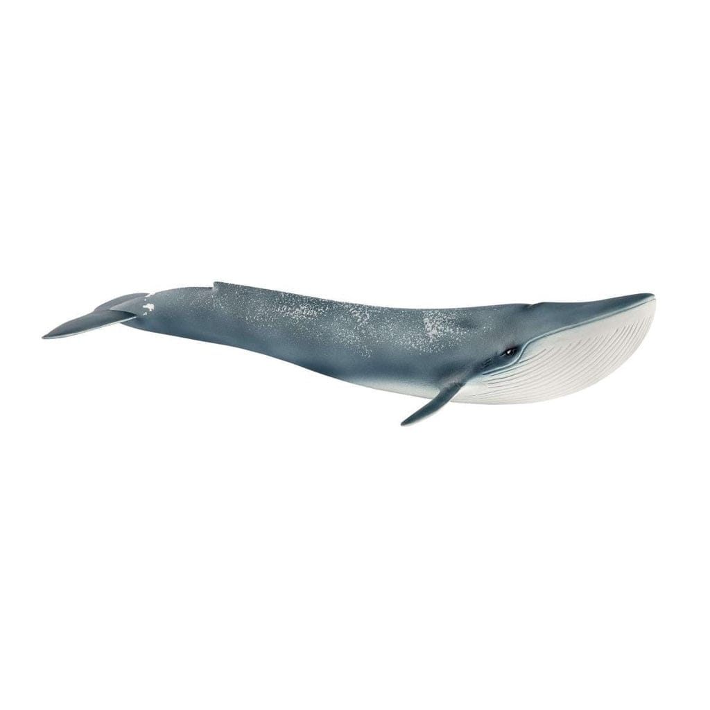 Schleich Animales y Dinosaurios Ballena Azul coleccionable - Schleich SCH14806