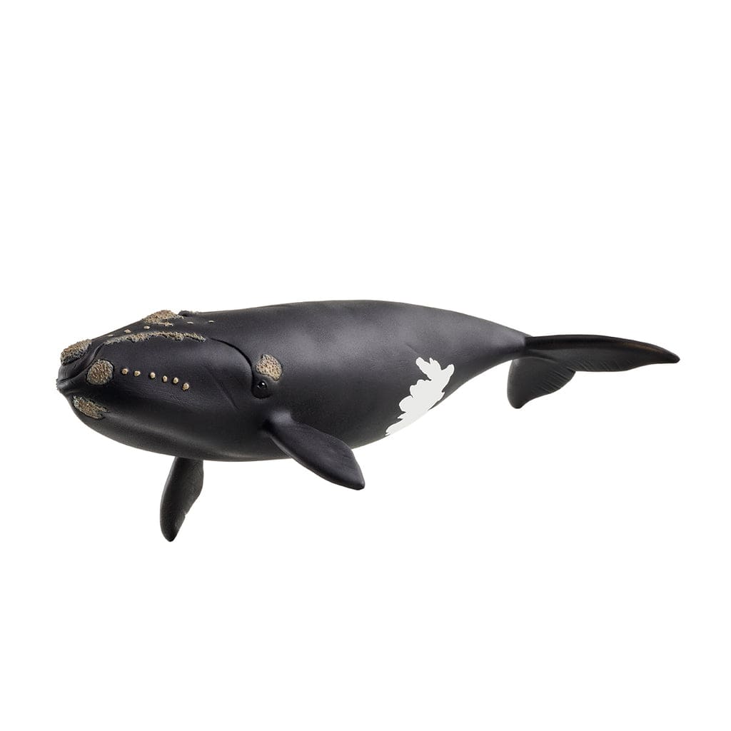 Schleich Animales y Dinosaurios Ballena franca del Atlántico norte - Schleich SCH14878