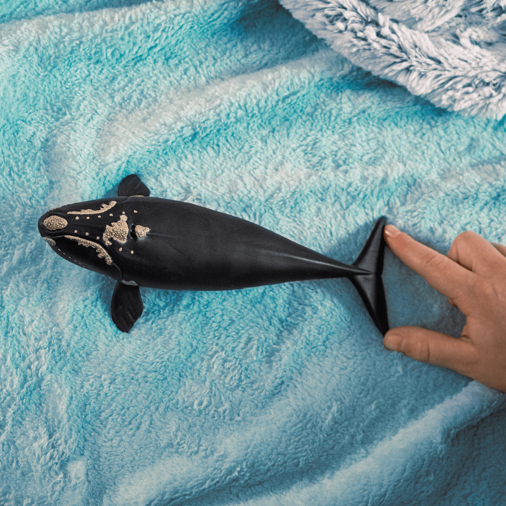 Schleich Animales y Dinosaurios Ballena franca del Atlántico norte - Schleich SCH14878