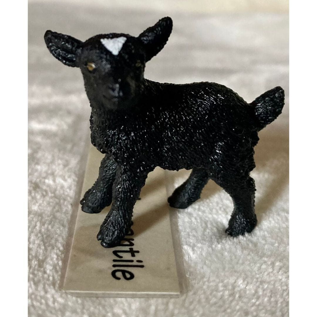 Schleich Animales y Dinosaurios Cabrito coleccionable - Schleich SCH17087