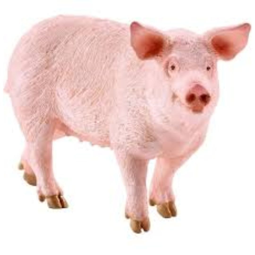 Schleich Animales y Dinosaurios Cerdo coleccionable - Schleich SCH17071