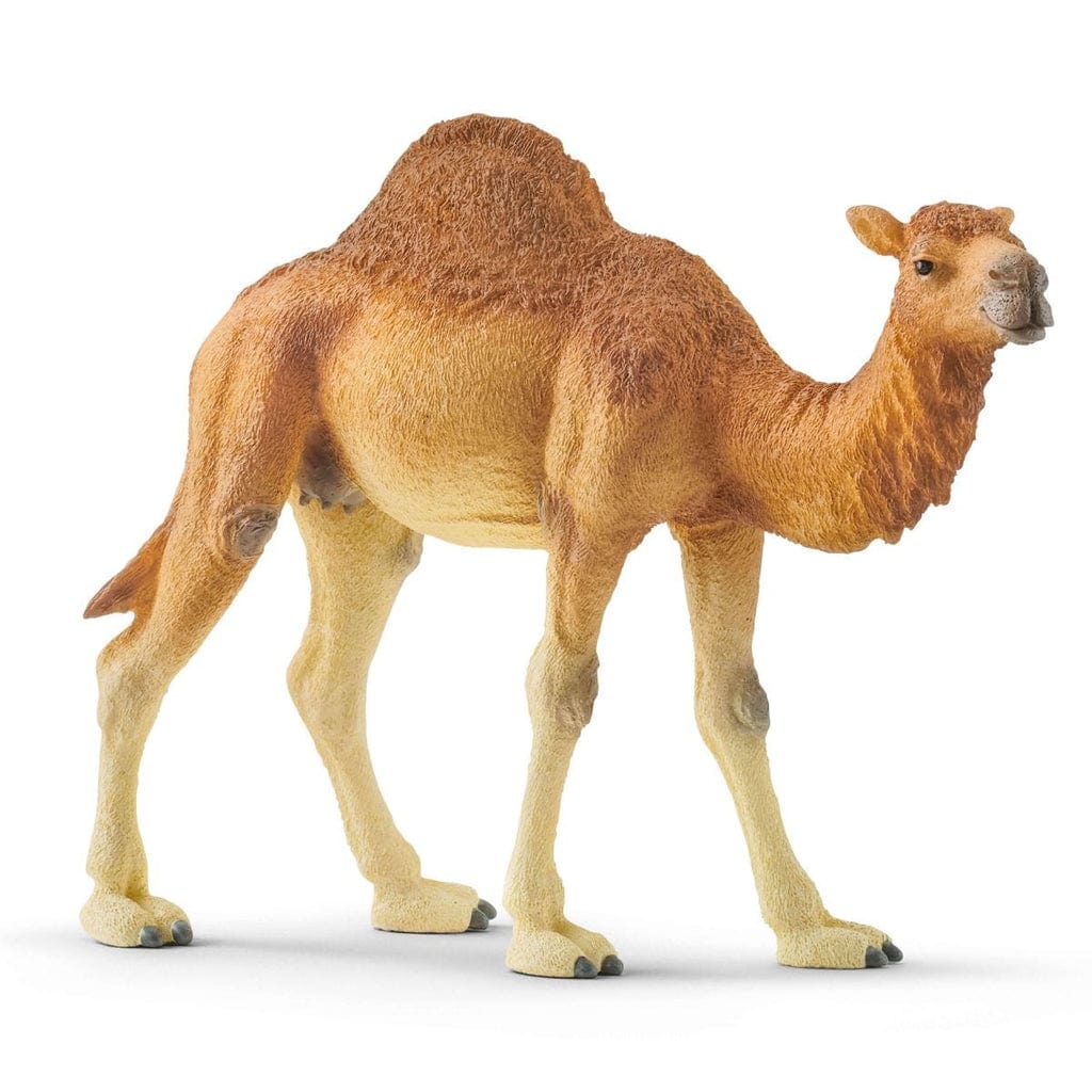 Schleich Animales y Dinosaurios Dromedario coleccionable - Schleich SCH14832