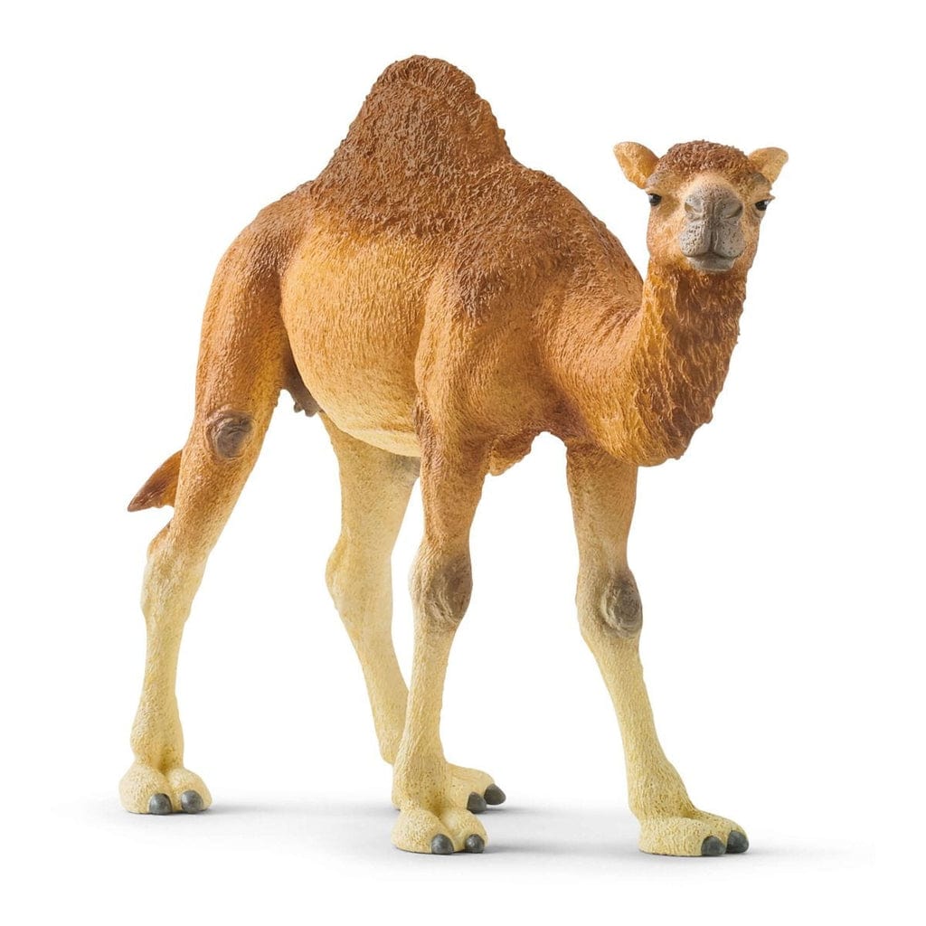 Schleich Animales y Dinosaurios Dromedario coleccionable - Schleich SCH14832