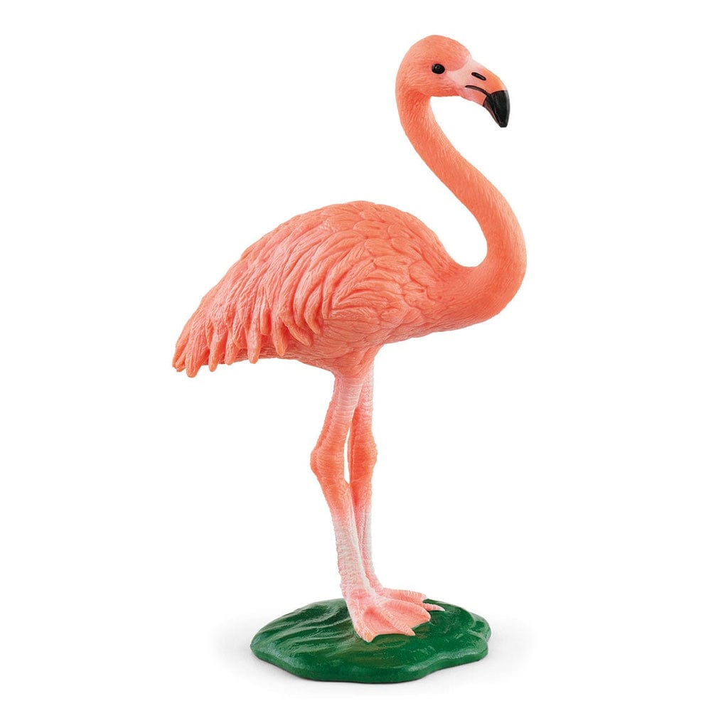 Schleich Animales y Dinosaurios Flamenco coleccionable - Schleich SCH14849