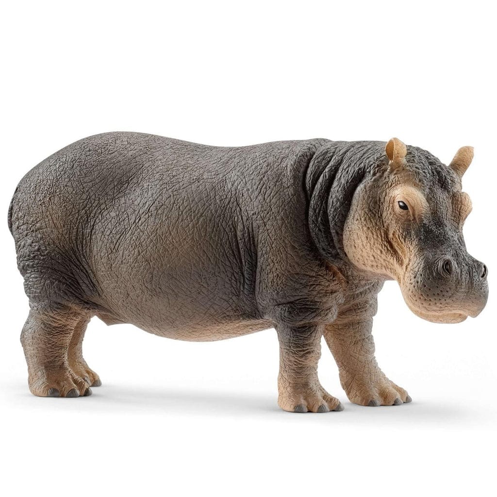 Schleich Animales y Dinosaurios Hipopótamo coleccionable - Schleich SCH14814
