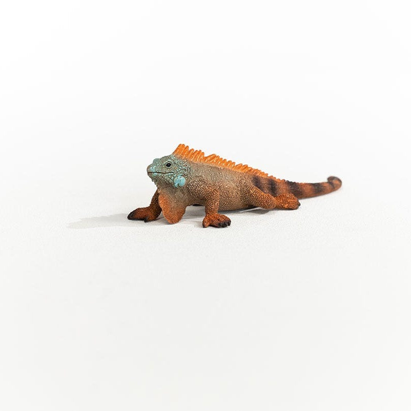 Schleich Animales y Dinosaurios Iguana coleccionable - Schleich SCH14854
