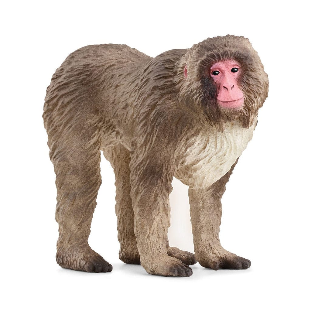 Schleich Animales y Dinosaurios Macaco japonés coleccionable - Schleich SCH14871
