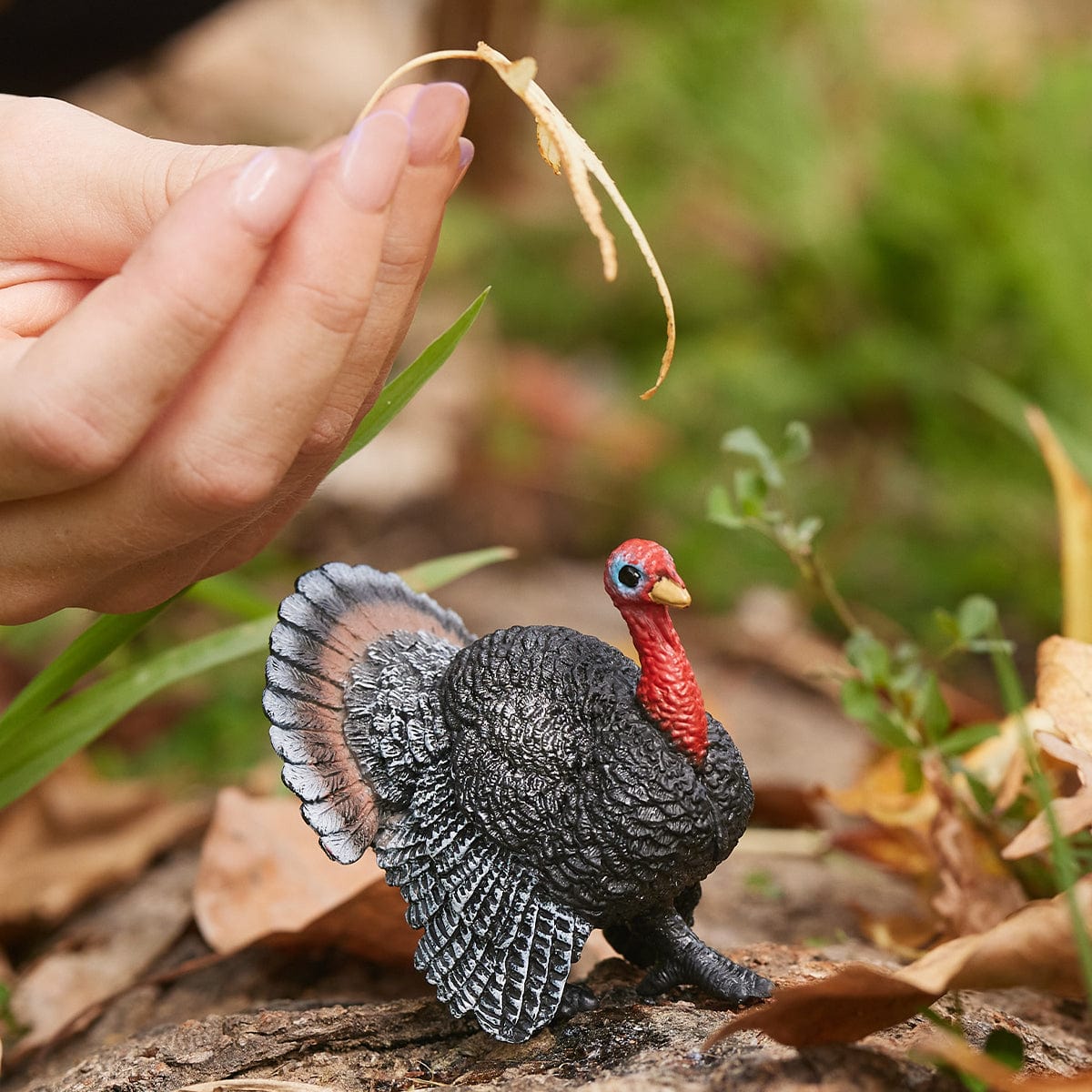Schleich Animales y Dinosaurios Pavo coleccionable - Schleich SCH13900