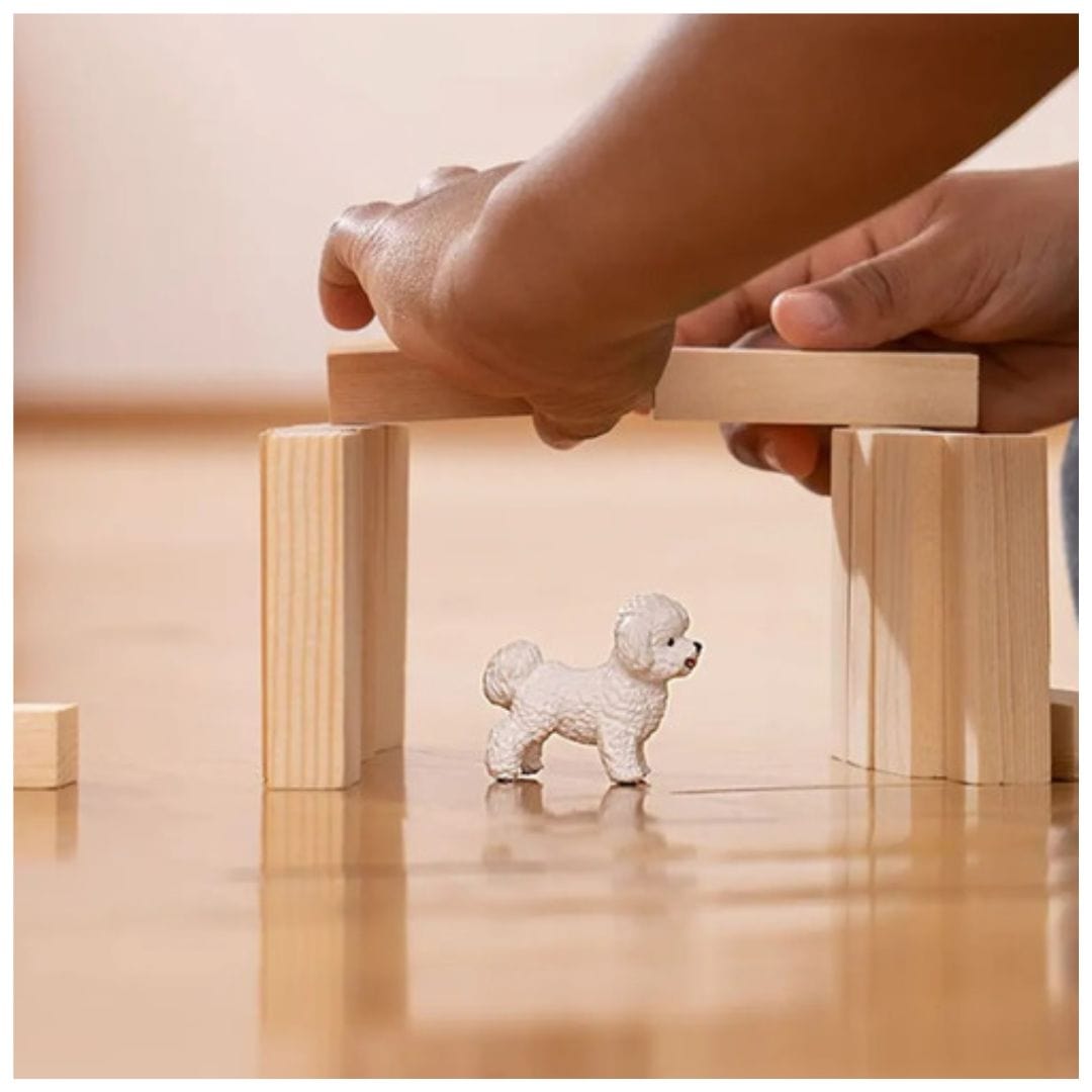 Schleich Animales y Dinosaurios Perro bichón frisé coleccionable - Schleich SCH13963