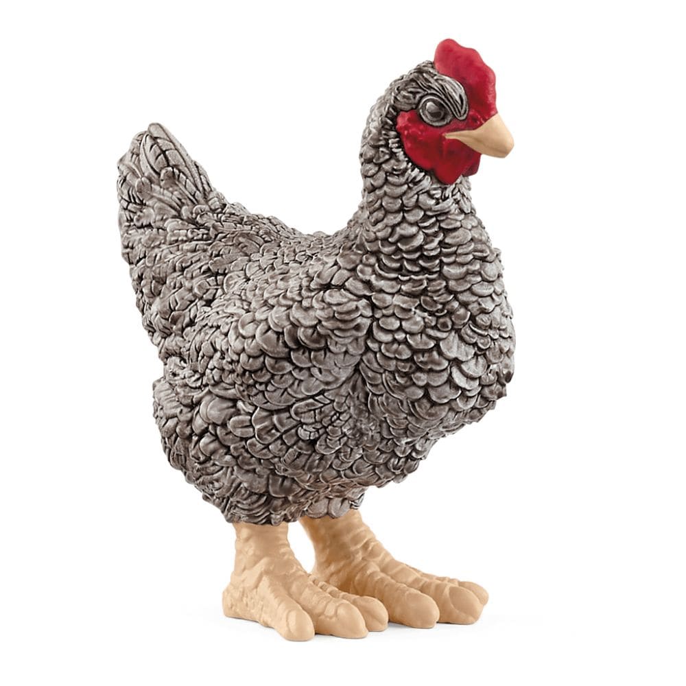 Schleich Animales y Dinosaurios Pollo Plymouth Rock coleccionable - Schleich SCH13997