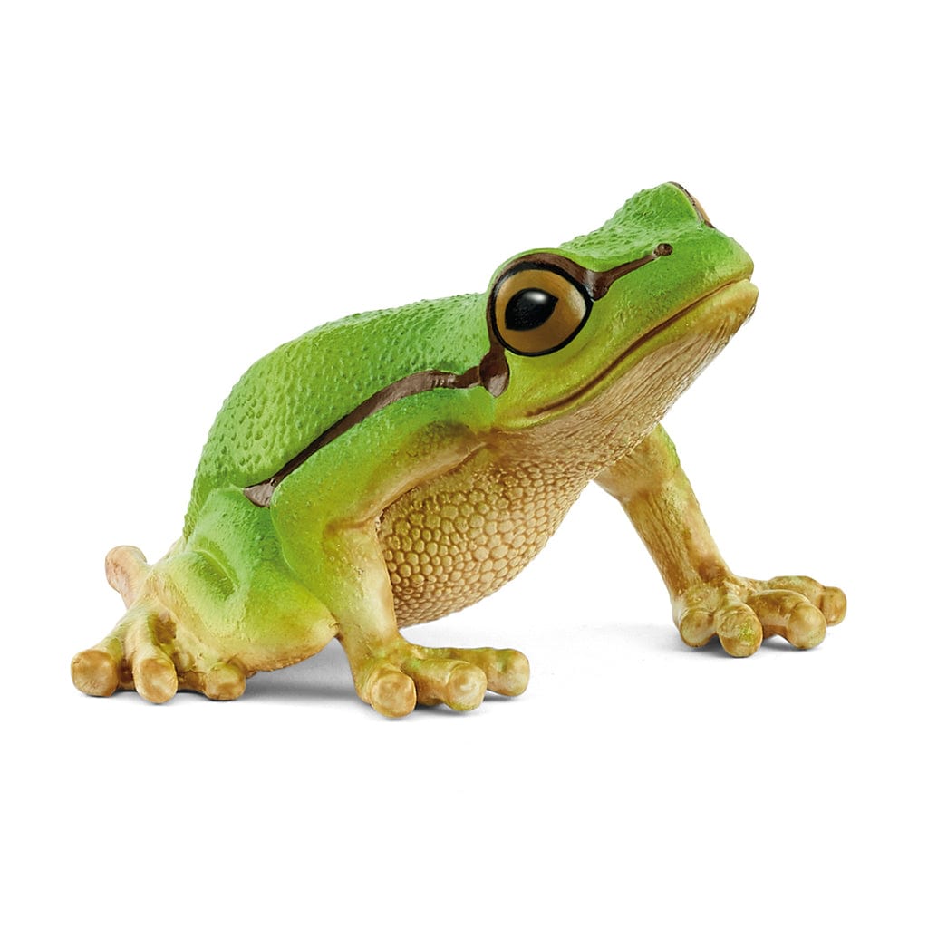 Schleich Animales y Dinosaurios Rana arbórea europea coleccionable - Schleich SCH14882
