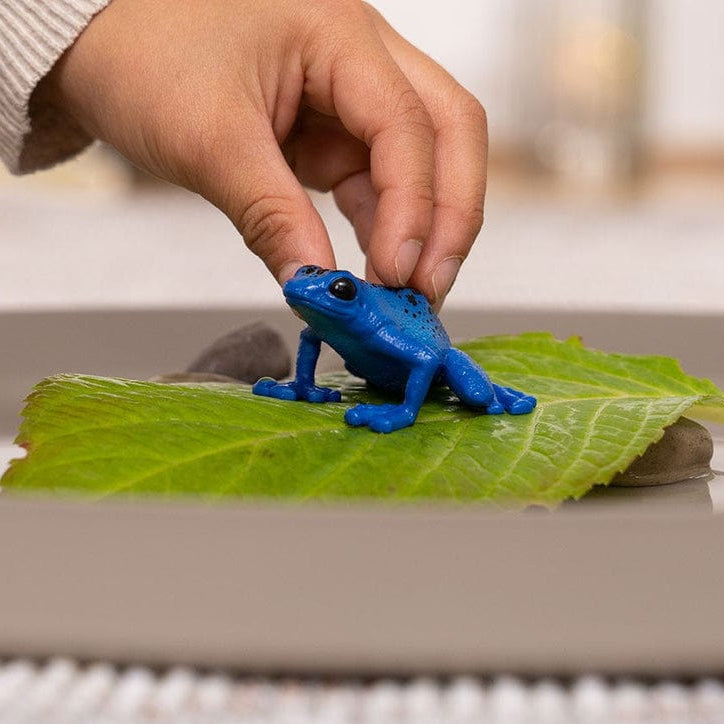 Schleich Animales y Dinosaurios Rana flecha azul coleccionable - Schleich SCH14864