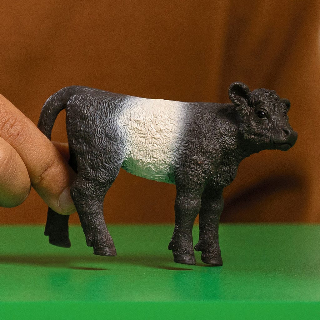 Schleich Animales y Dinosaurios Ternero de Galloway - Schleich SCH13969