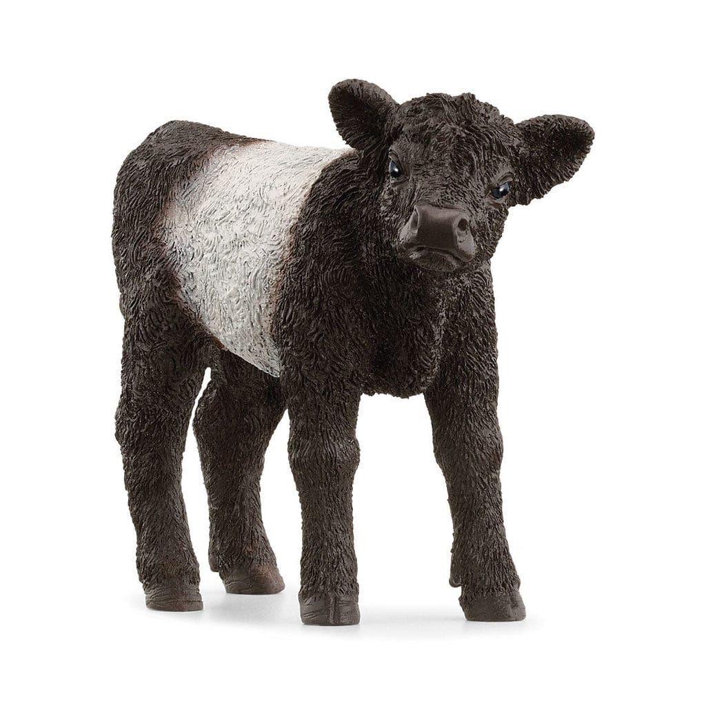 Schleich Animales y Dinosaurios Ternero de Galloway - Schleich SCH13969
