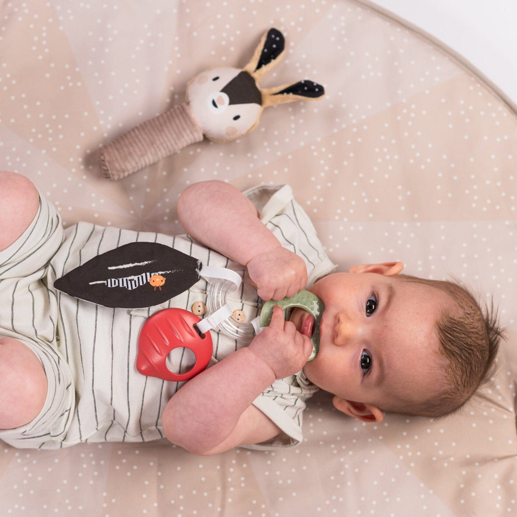 Taf Toys Juguetes de actividades para bebés Kit para recién Nacido Black & white - Taf Toys 13475