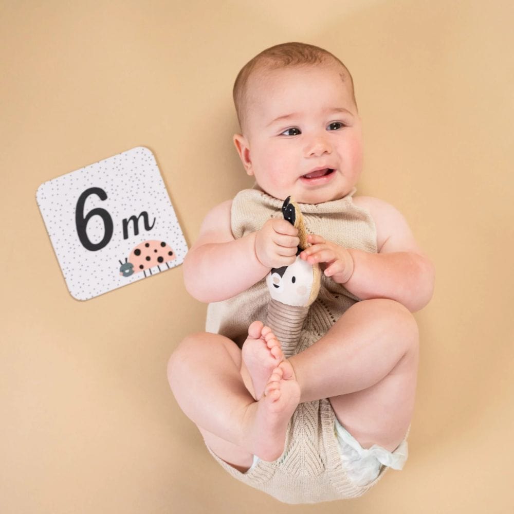 Taf Toys Juguetes de actividades para bebés Kit para recién Nacido Black & white - Taf Toys 13475