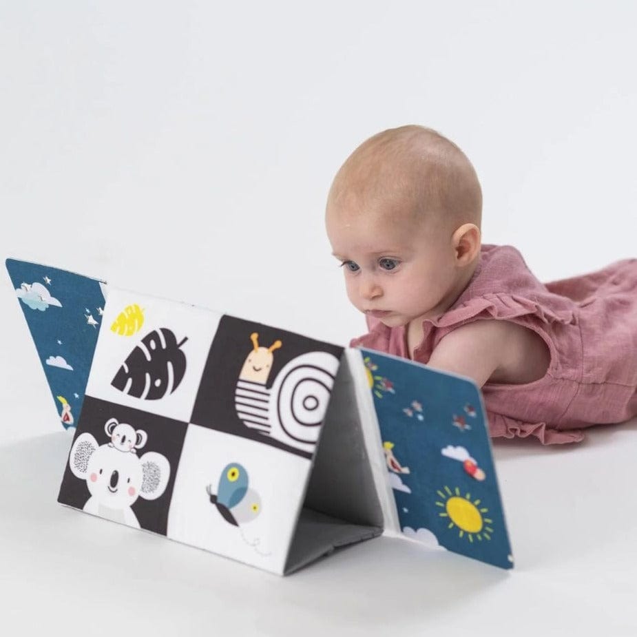 Taf Toys Libros Libro y espejo blanco y negro tummy time 12905