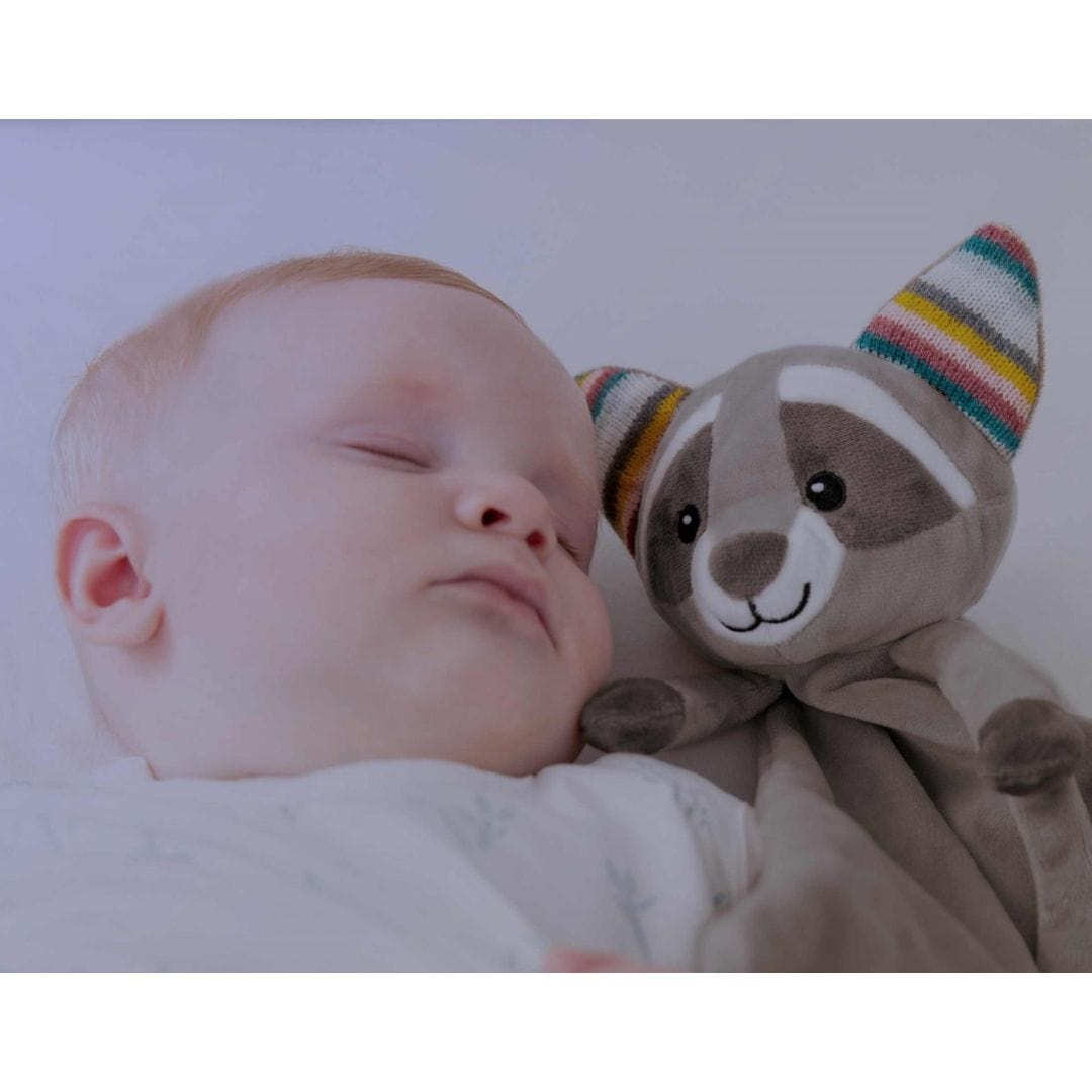 Zazu Peluches con ruido blanco Peluche / manta robin el mapache con porta chupete y ruido blanco - Zazu ZA-ROBIN-01