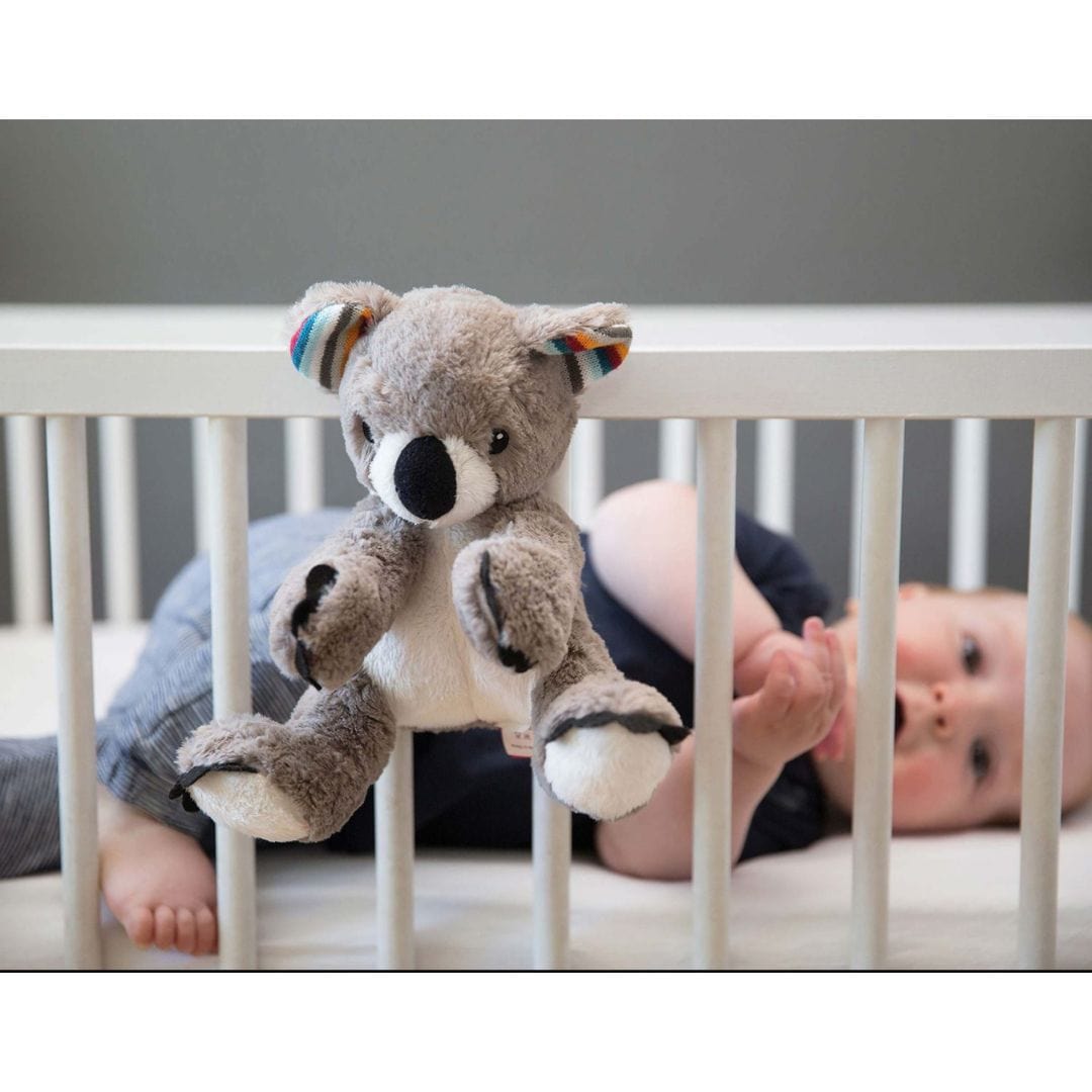 Zazu Peluches con ruido blanco Ruido blanco / coco el koala- Zazu ZA-COCO-01