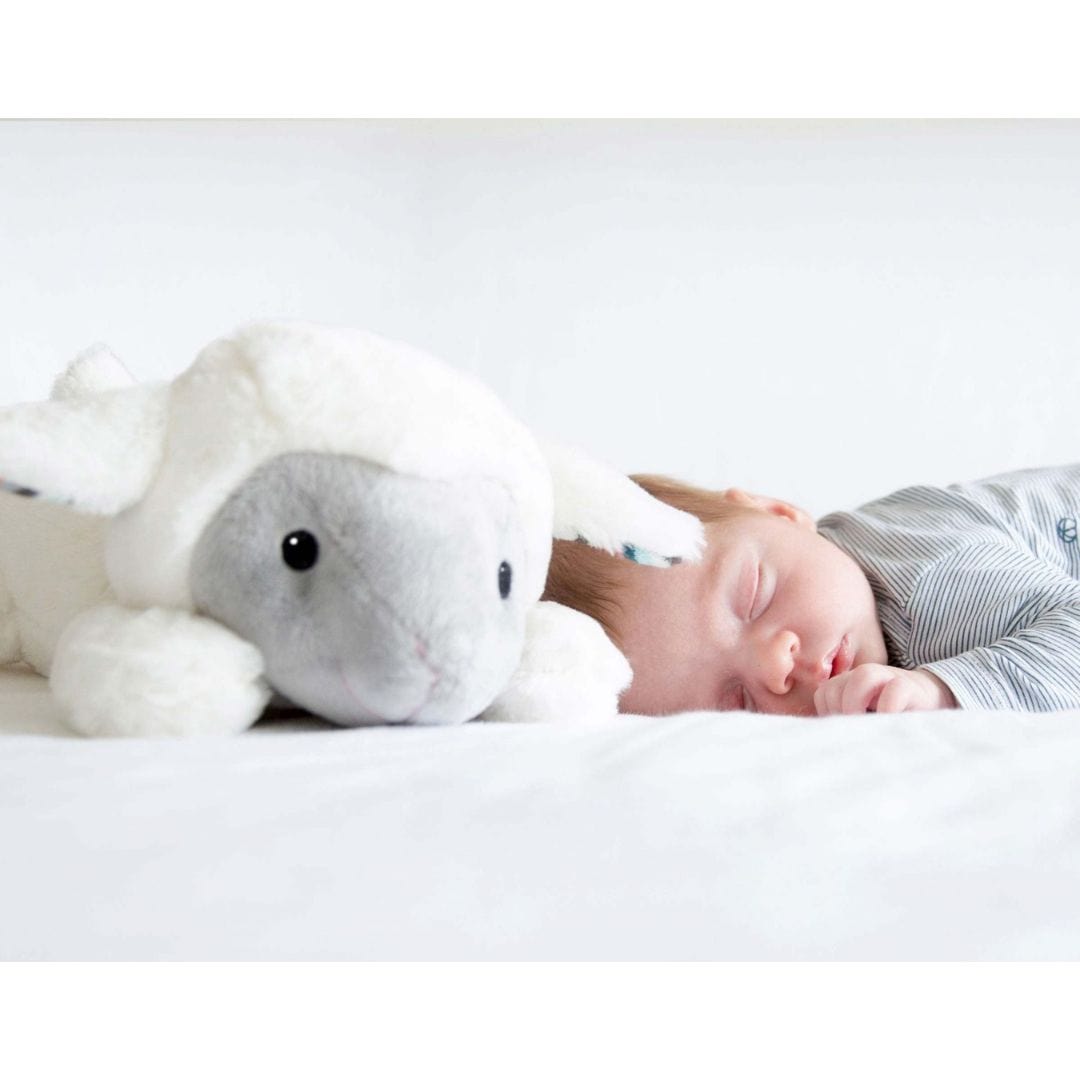 Zazu Peluches con ruido blanco Ruido blanco / peluche Liz el cordero - Zazu ZA-LIZ-01