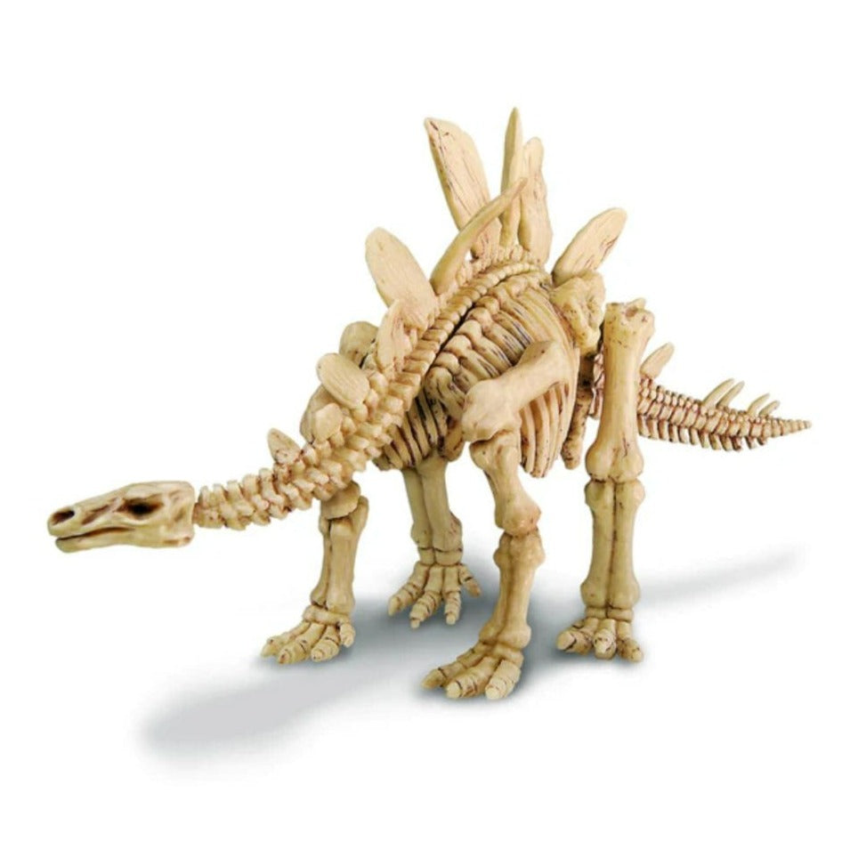 4M Arte y Manualidades Laboratorio de Ciencia Excava Dinosaurio Stegosaurus 00-03229