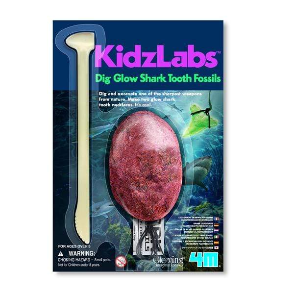 4M Juegos de ciencia +5 Laboratorio de Ciencia Excava Dientes de Tiburón 00-05918