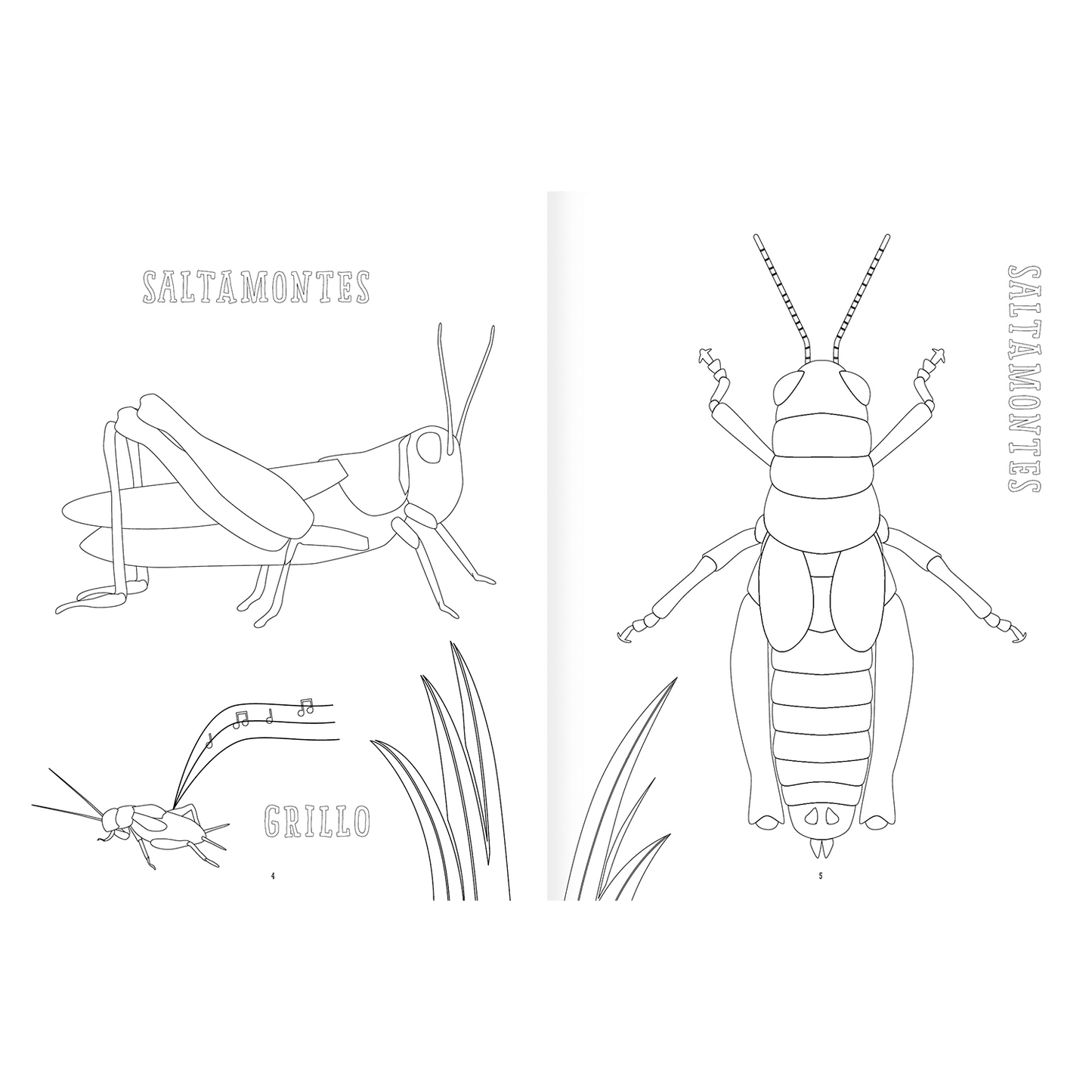AMANUTA Libros Insectopinta 978-956-364-132-5